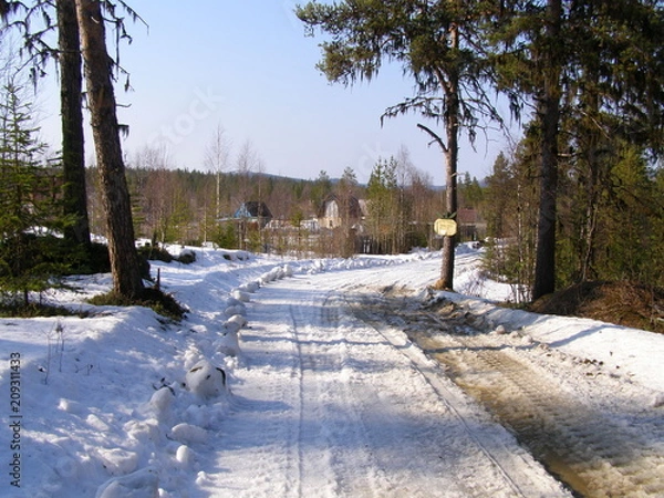 Obraz Дорога в лесу