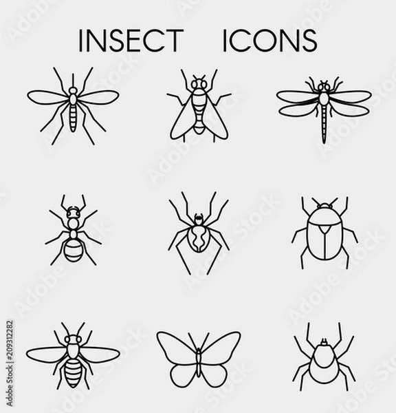 Fototapeta Set black linear icons insects. Contour vector icons.