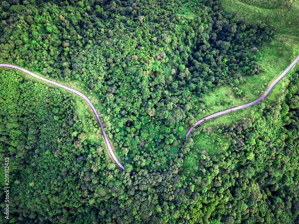 Obraz Top view curvy road in the middle of green forest. Amazing nature landscape. Aerial view from flying drone.