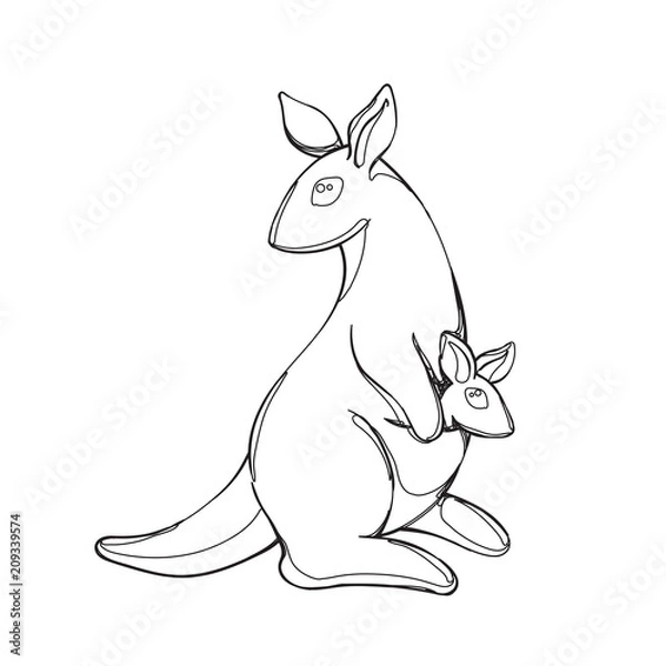 Fototapeta kangur w stylu graficznym linii ciągłej