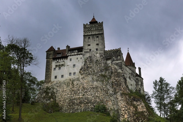 Obraz Bran castle on a rainy day
