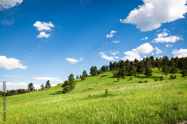 Fototapeta vast field