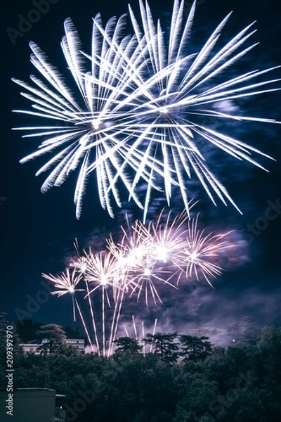 Fototapeta Feux d'artifices