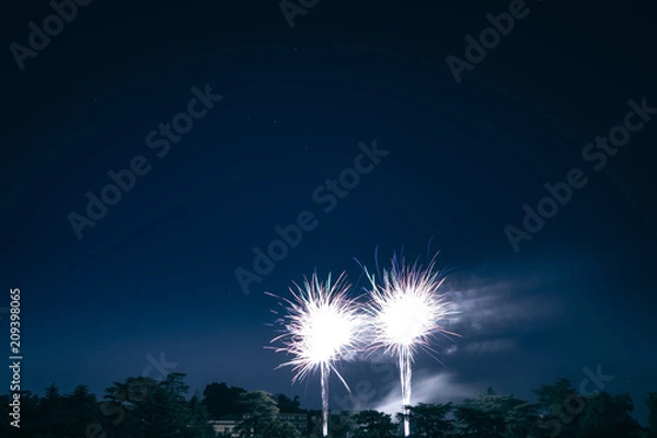 Obraz Feux d'artifices