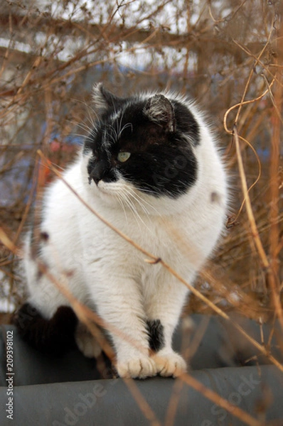 Obraz we warm the pipe