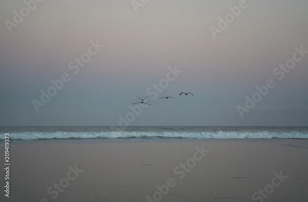 Obraz Flight Over Pink Sand