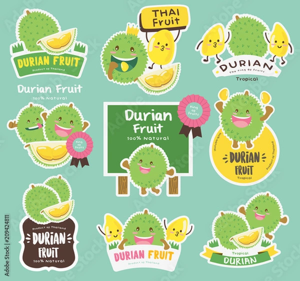 Obraz Cute Durian Vector 8 / Cute Durian Vector Packaging Design labels / Mascot Vector Design