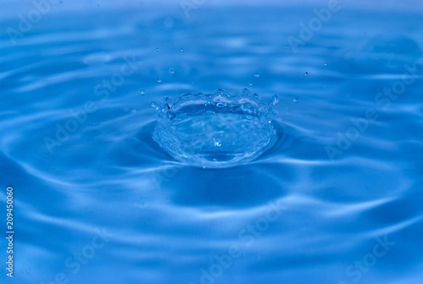 Fototapeta 水滴が落ちた後の波紋