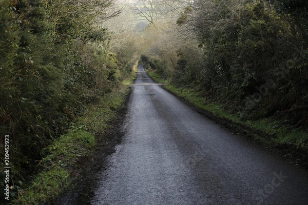 Obraz country lane