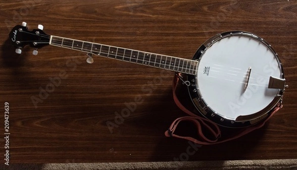 Obraz Banjo