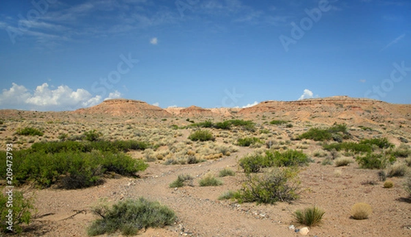 Fototapeta Stone path into a sandstone mountain landscape