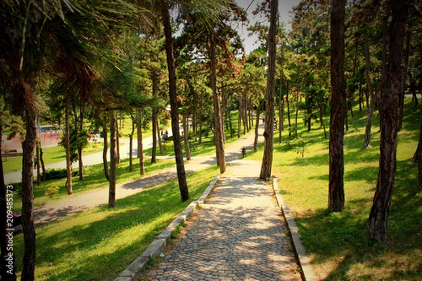 Obraz garden