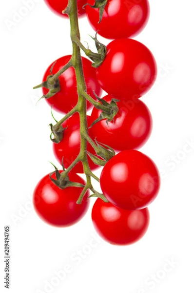 Fototapeta Pomidory na białym tle