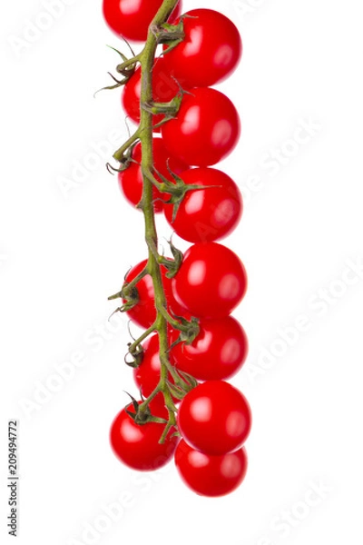 Fototapeta Pomidory na białym tle
