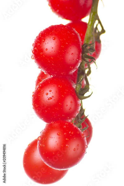 Fototapeta Pomidory na białym tle