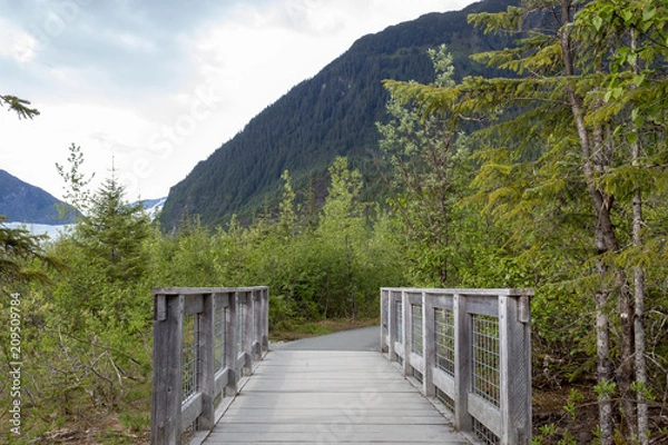 Obraz Trail at Mendenhall Glacier