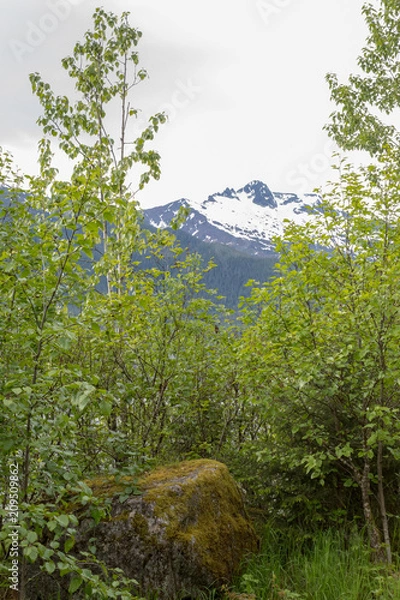 Obraz Mountain view from Mendenhall Glacier