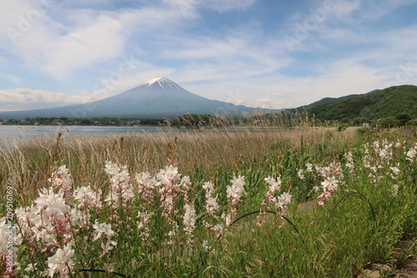 Obraz 富士山