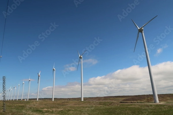 Fototapeta 風力発電