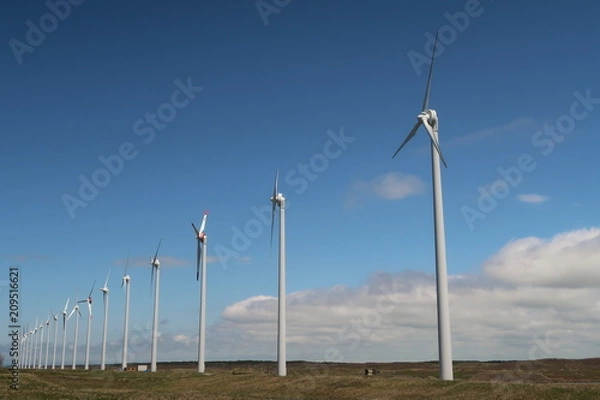 Fototapeta 風力発電