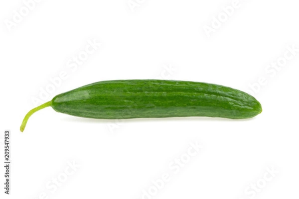 Fototapeta green cucumber on a white background
