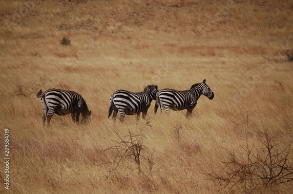 Obraz Ethiopie - Arba Minch