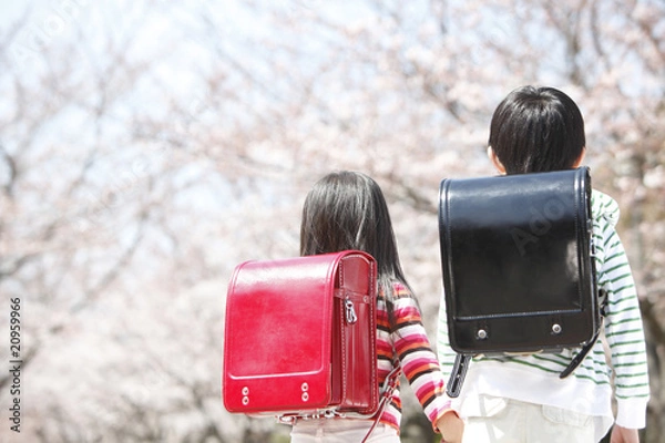 Obraz 桜の下に立つ小学生男女の後姿