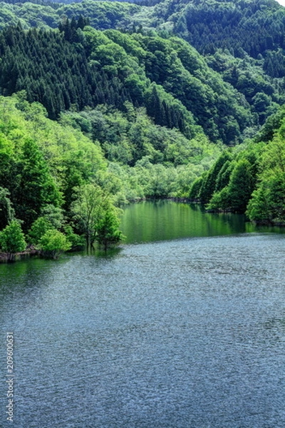 Fototapeta 新緑の虹の湖