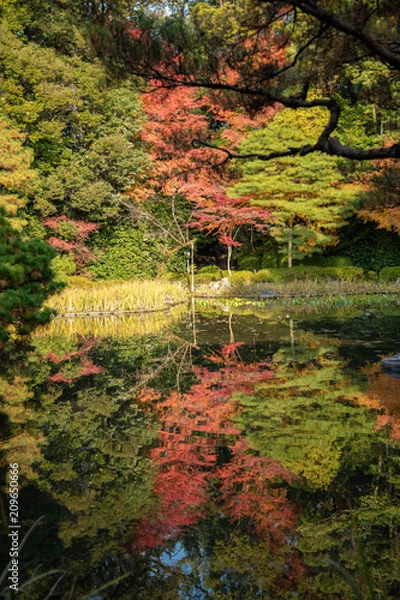 Fototapeta 京都平安神宮の紅葉