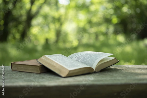 Obraz 自然の中で読書