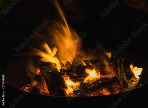 Obraz Flame in the dark 