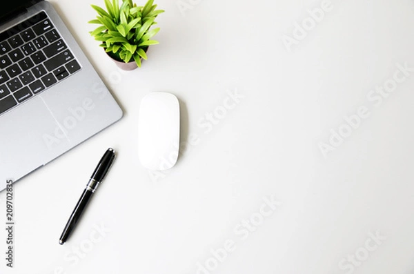 Fototapeta Office table with Laptop,mouse,pen and plant, copy space,Top view, flat lay,minimal style