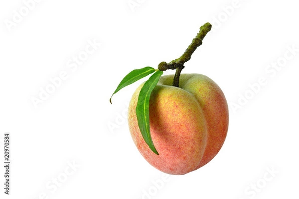 Obraz Sztuczne owoce