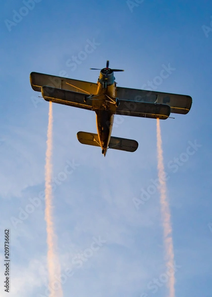 Obraz Biplane flying in the sunset