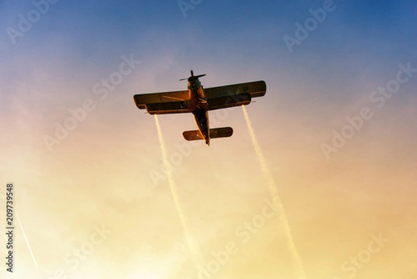 Obraz Biplane flying in the vibrant sunset