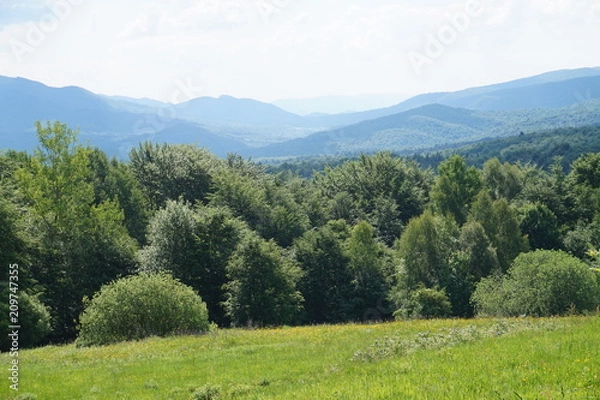 Obraz Bieszczady Mountains in Poland