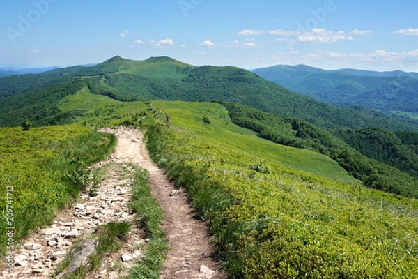 Fototapeta Bieszczady/ Poloniny Mountains in Poland