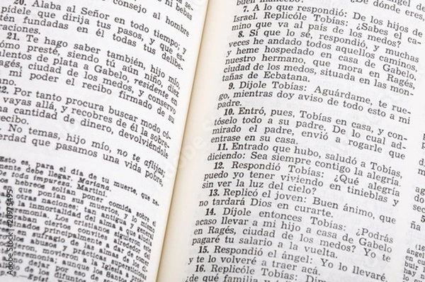 Obraz La Santa Biblia