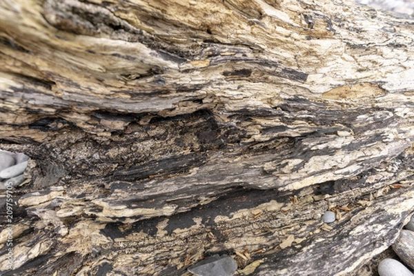 Fototapeta Holz Muster 