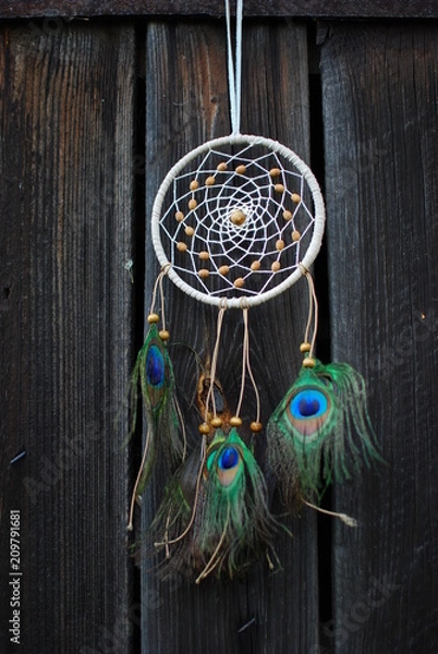 Obraz peacock feathers leather and beads dream catcher