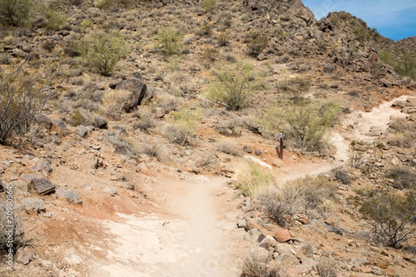 Fototapeta Hiking trail up Camelback mountain in Scottsdale, Arizona