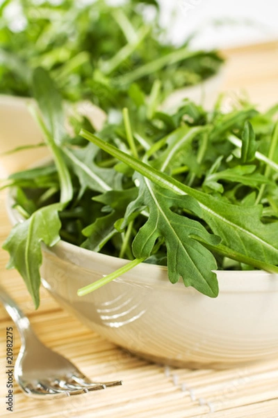 Obraz Rucola salad