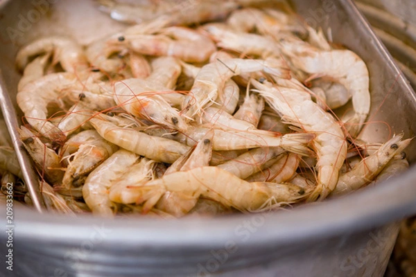 Fototapeta bucket full of shrimps at a local fish market somewhere in the south of india