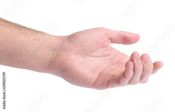 Obraz outstretched hand on a white background