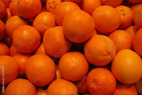 Obraz oranges