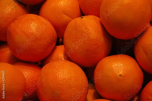 Obraz oranges