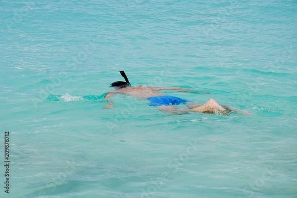 Obraz schnorcheln in der Karibik