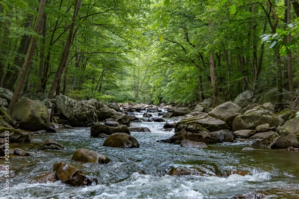 Fototapeta Looking from the center of a stream with large boulders in a forest.