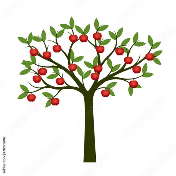 Obraz Green Tree and red apple fruits. Vector Illustration.