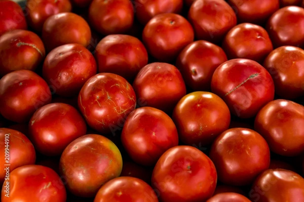 Obraz Tomates 6435